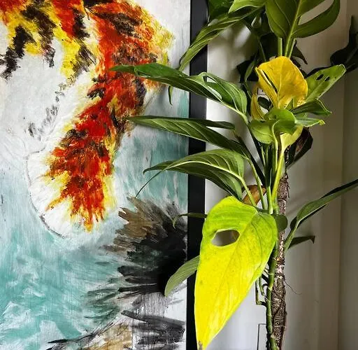 Apartamento Art & Design Cdmx